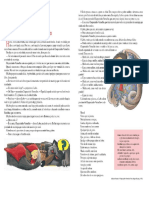 51871886-Revisao-Teste-6º-ano-1º-BIM-2011.pdf