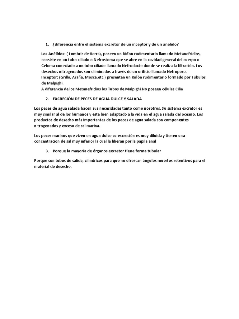 Los Anelidos