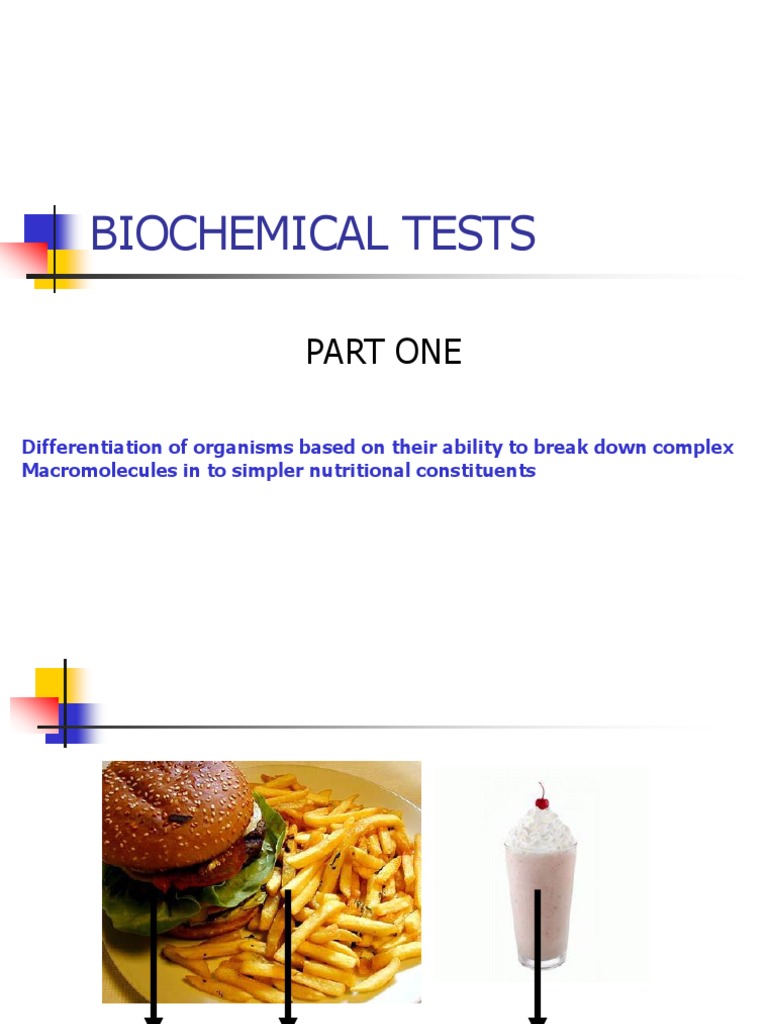 Biochemical Tests Part One PDF Hydrolysis Biochemistry