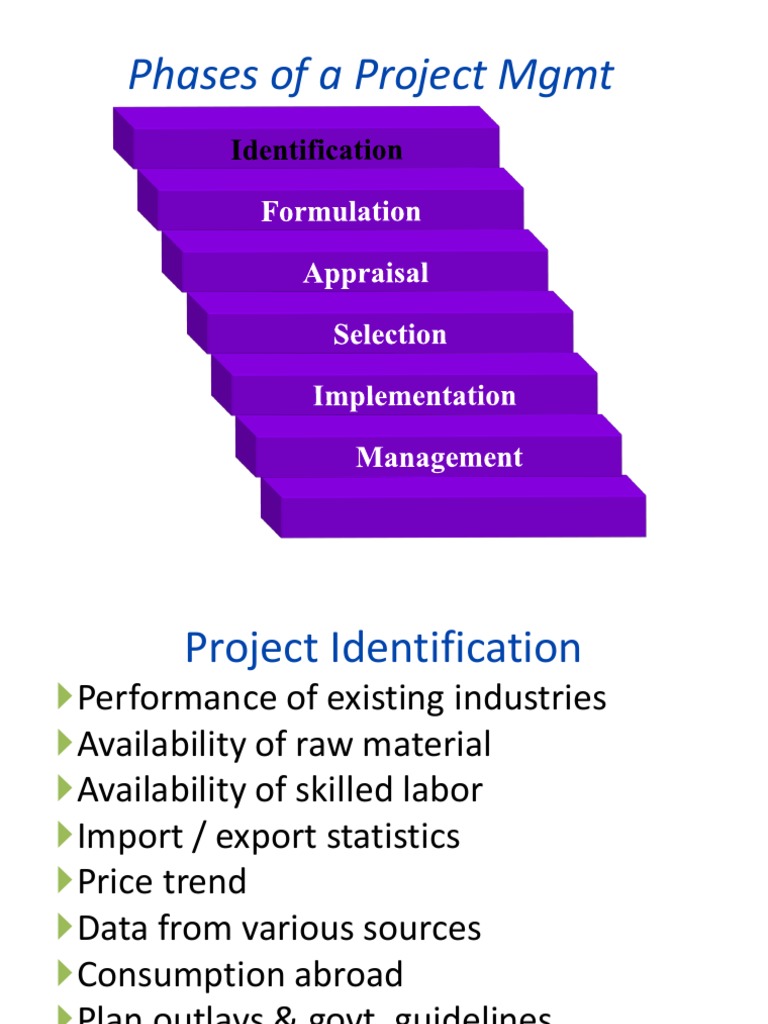 A Comprehensive Guide to the Phases of Project Management: From ...