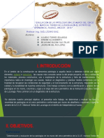 TRABAJO DE PATOLOGIA Pain PDF