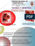 4.PERIODO FETAL.pptx