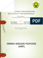 Penyakit Pada Tulang Belakang Dan Sumsum Tulang Belakang: Pembimbing: Dr. Komang Yunita W. Putri, SP.S