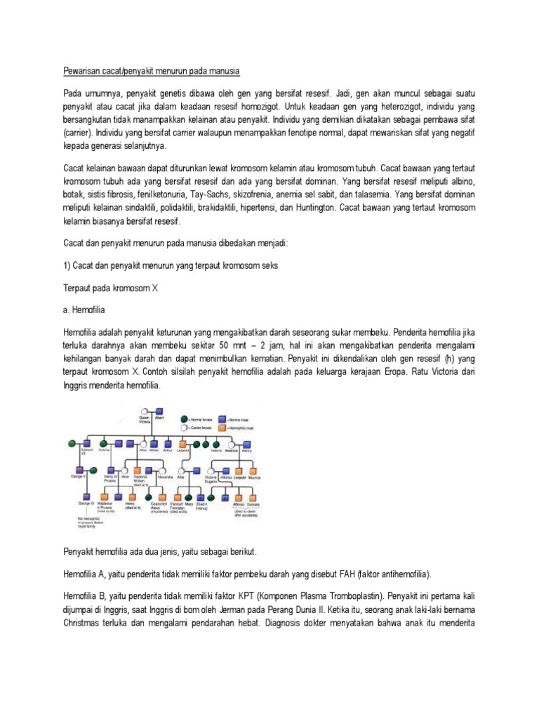 Seorang Ibu  Hamil  Memiliki Golongan Darah A Heterozigot  Seorang Ibu  Hamil  Memiliki Golongan Darah A Heterozigot