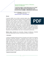 2011_ Guimaraes&Souza_Argentina.pdf