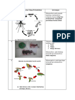 Ipa Biologi