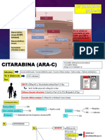 Citarabina (Ara C)