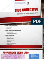 Tejido Conectivo