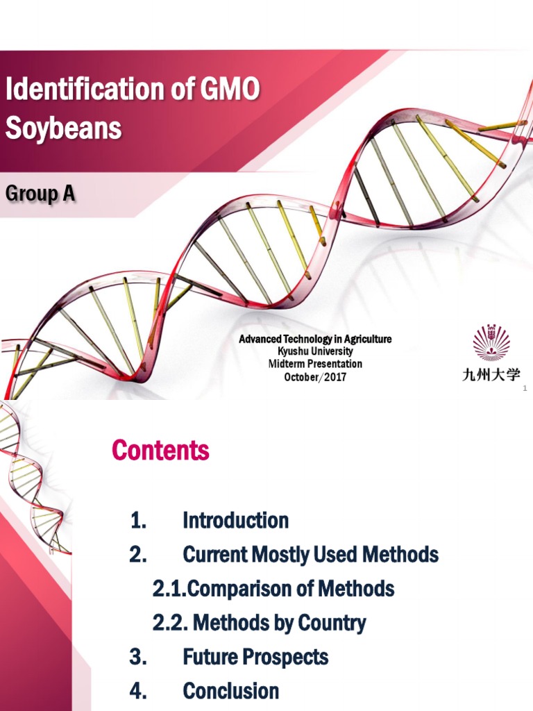 Group A Identification of GMO Soybeans PDF Modified Organism Soybean