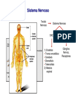aula3_histologia_tecido-e-sistema-nervoso-2013.pdf
