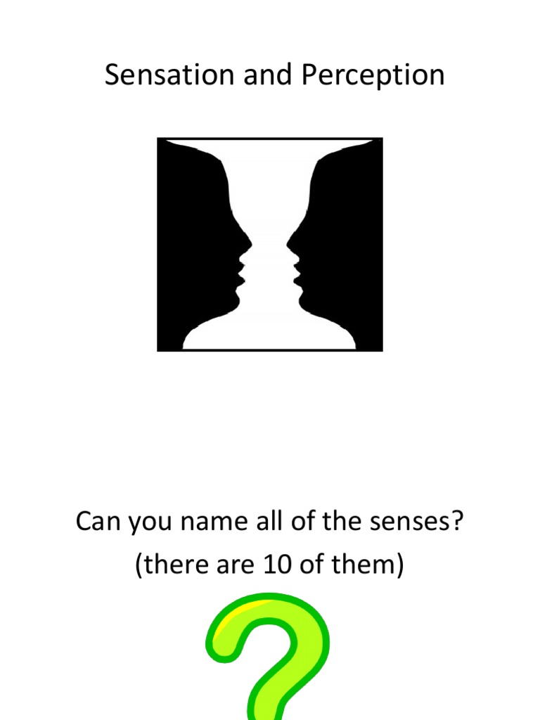 Understanding Sensation and Perception | PDF | Senses | Perception