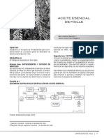 Proyecto Aceite Esencial de Molle