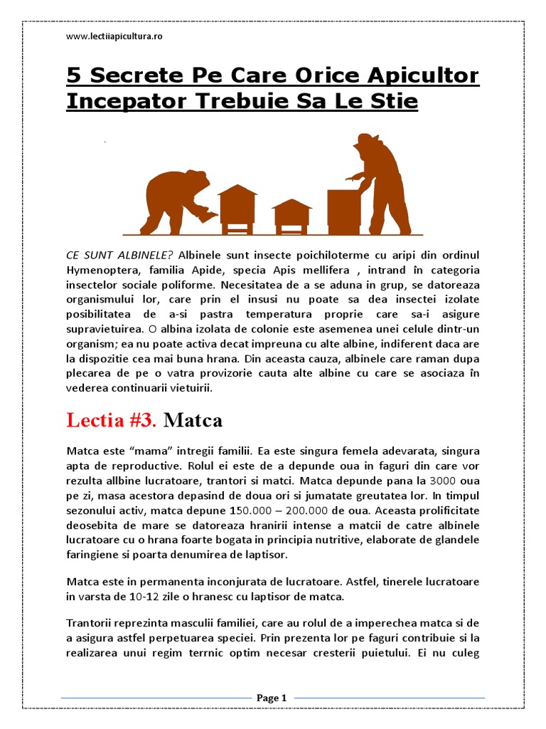 5 Secrete Pe Care Orice Apicultor Incepator Trebuie Sa Le Stie PDF | PDF