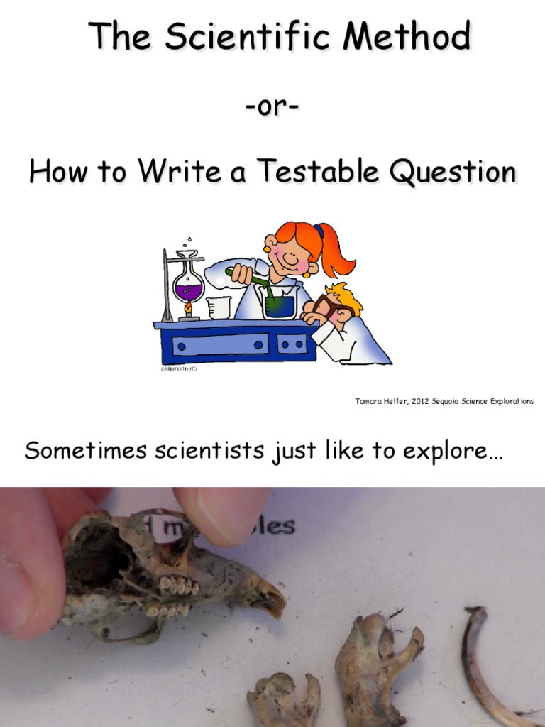 how to write a testable question Experiment Scientific Method