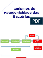 aula_patogenicidade.pdf