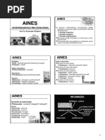 AINES.pdf