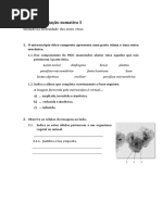 ficha_avaliacao_sumativa_5.doc