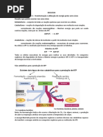 U3 Trans Util Energia