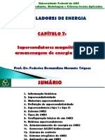 ACUM_CAP7_SMES.pdf