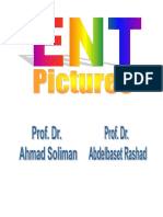 ENT Pictures PDF