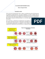 Taller de Histo 2017.