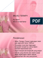 Milieu Terapy JG