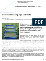 Duckweed Growing Tips and Tricks _ Duckweed Gardening