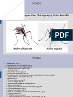 Pre Aedes Aegypti