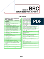 Seccion BRC.pdf