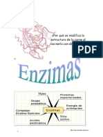 01_enzimas