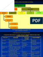 Curs 1 - Prezentare