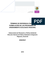 Terminos Referencia Regionales 19-03-10