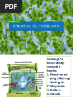 Fisiologi Sel Dan Struktur Sel Tumbuhan