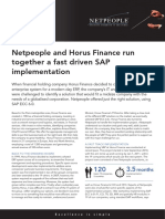 Netpeople and Horus Finance Run Together A Fast Driven Sap Implementation