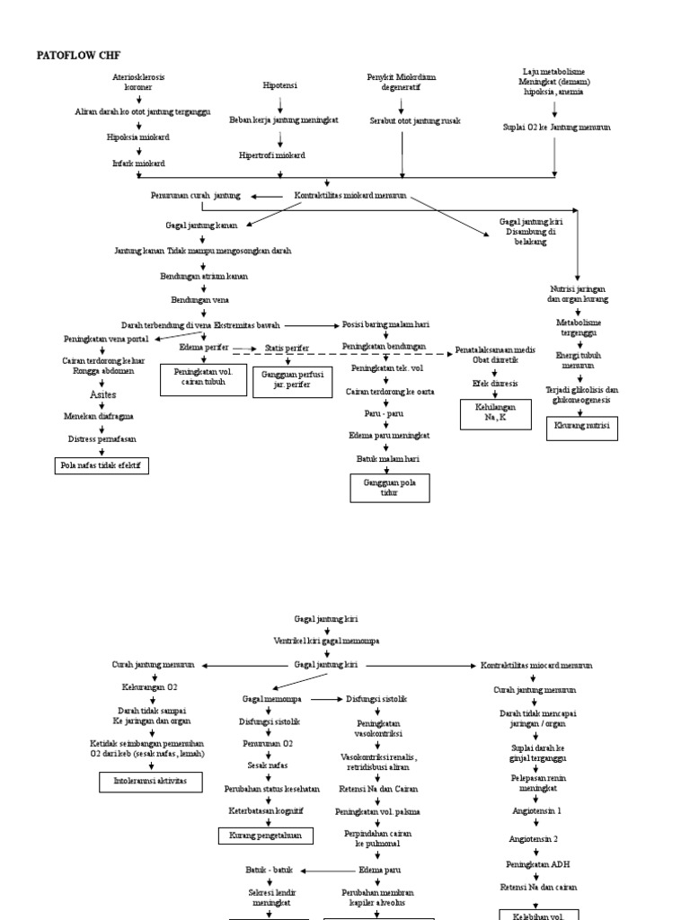Patoflow CHF | PDF