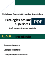 IBMR_patologias_dos_MMSS_2011_2