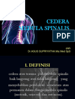 Cedera Medula Spinalis