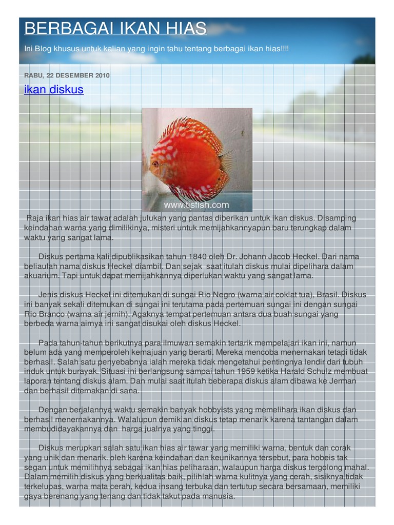Ikan Hias Cantik
