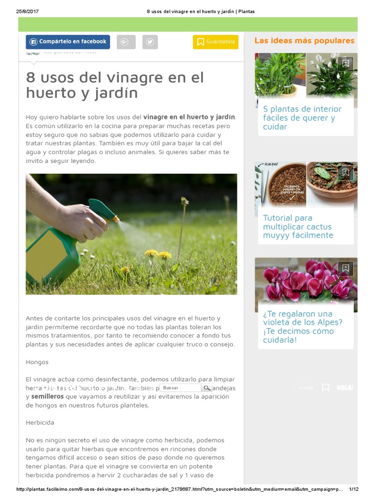 Usos Del Vinagre En El Huerto