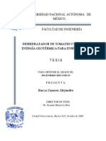 Tesis.pdf