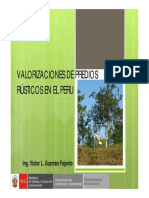 VALORIZACION DE PREDIO RUSTICO EN EL PERU.pdf