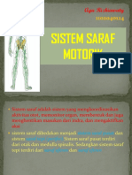 Sistem Saraf Motorik