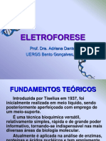 4 - 2.2 Eletroforese