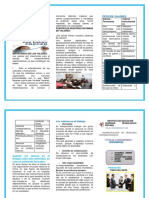 Valores en El Trabajo TRIPTICO