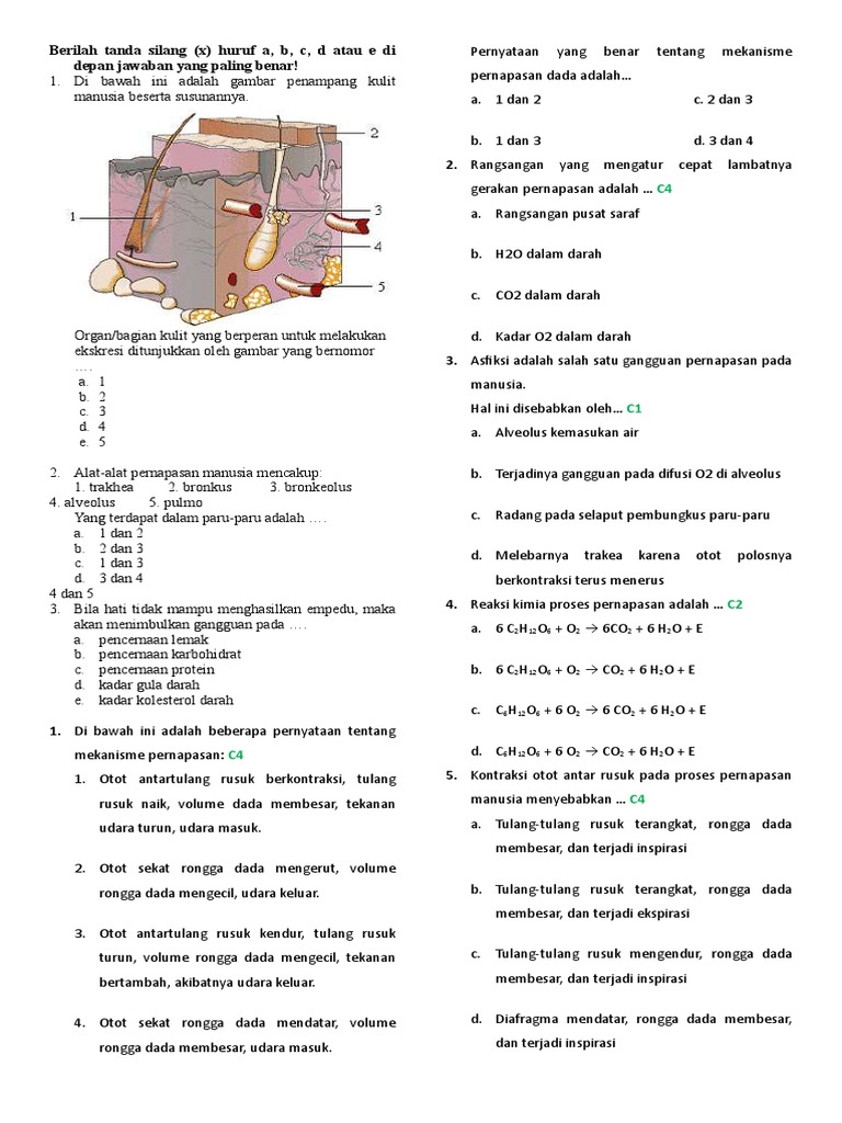 Soal Mid Semester Genap Kelas Xi