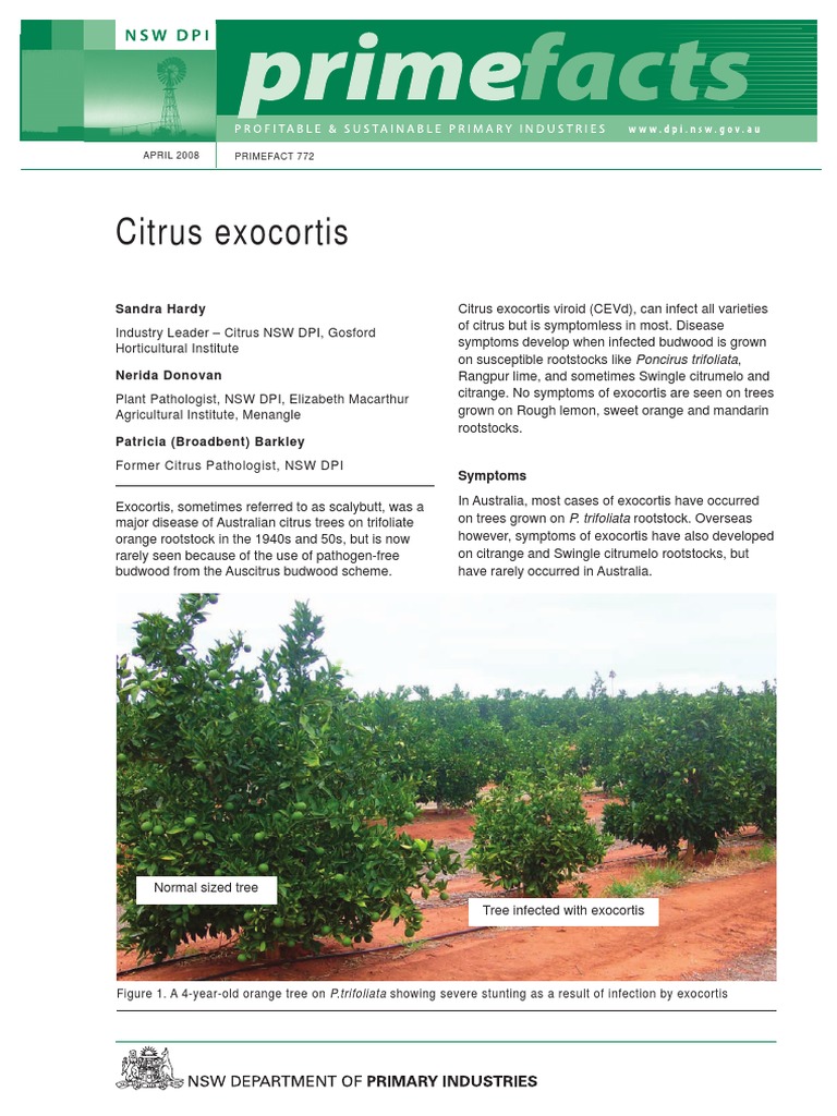 Citrus Exocortis PDF Citrus Grafting