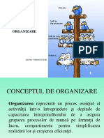 Functia de Organizare Tema PDF