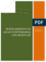 INFORME DE Modflow