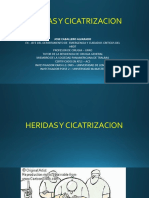 Heridas y Cicatrizacion