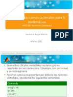 4-Complejos.pdf